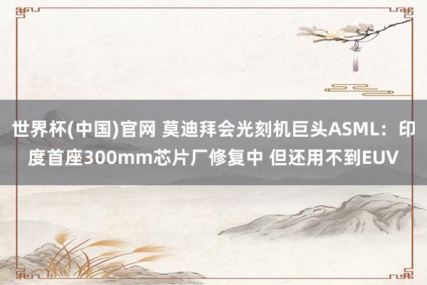 世界杯(中国)官网 莫迪拜会光刻机巨头ASML：印度首座300mm芯片厂修复中 但还用不到EUV