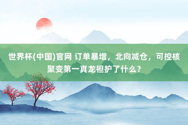 世界杯(中国)官网 订单暴增，北向减仓，可控核聚变第一真龙袒护了什么？