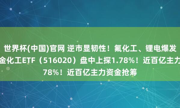 世界杯(中国)官网 逆市显韧性！氟化工、锂电爆发，华宝基金化工ETF（516020）盘中上探1.78%！近百亿主力资金抢筹