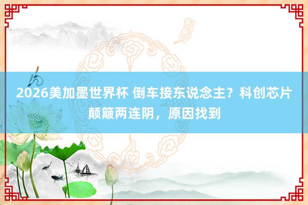2026美加墨世界杯 倒车接东说念主？科创芯片颠簸两连阴，原因找到