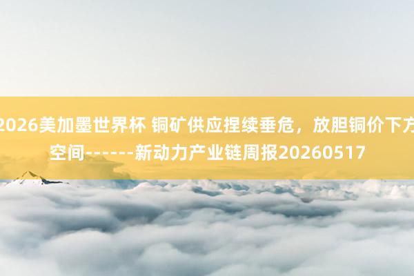 2026美加墨世界杯 铜矿供应捏续垂危，放胆铜价下方空间------新动力产业链周报20260517