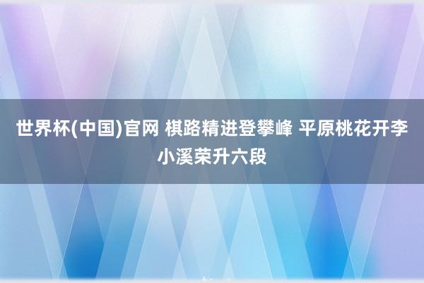世界杯(中国)官网 棋路精进登攀峰 平原桃花开李小溪荣升六段