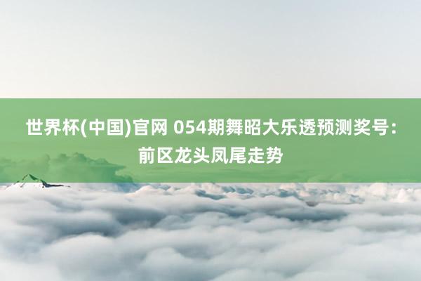 世界杯(中国)官网 054期舞昭大乐透预测奖号：前区龙头凤尾走势