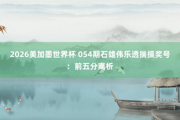 2026美加墨世界杯 054期石雄伟乐透揣摸奖号：前五分离析