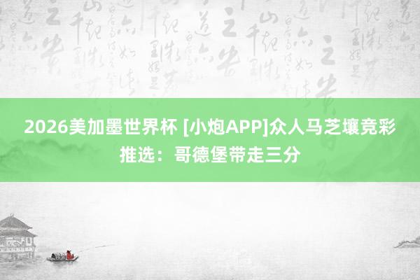 2026美加墨世界杯 [小炮APP]众人马芝壤竞彩推选：哥德堡带走三分