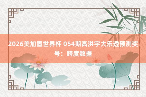 2026美加墨世界杯 054期高洪宇大乐透预测奖号：跨度数据