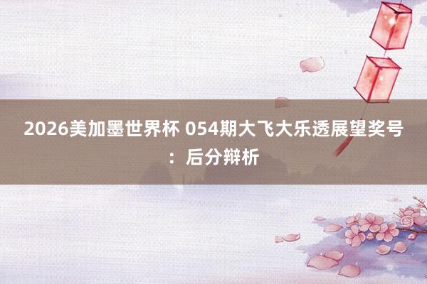 2026美加墨世界杯 054期大飞大乐透展望奖号：后分辩析