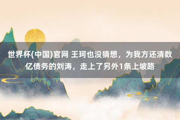 世界杯(中国)官网 王珂也没猜想，为我方还清数亿债务的刘涛，走上了另外1条上坡路