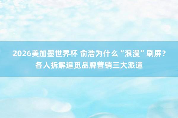 2026美加墨世界杯 俞浩为什么“浪漫”刷屏？各人拆解追觅品牌营销三大派遣