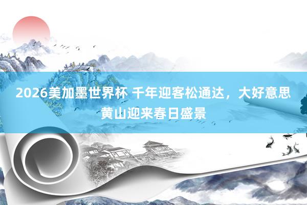 2026美加墨世界杯 千年迎客松通达，大好意思黄山迎来春日盛景