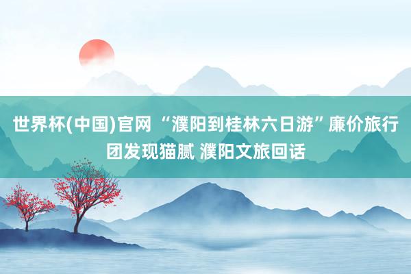 世界杯(中国)官网 “濮阳到桂林六日游”廉价旅行团发现猫腻 濮阳文旅回话