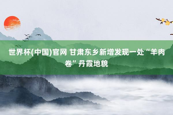 世界杯(中国)官网 甘肃东乡新增发现一处“羊肉卷”丹霞地貌
