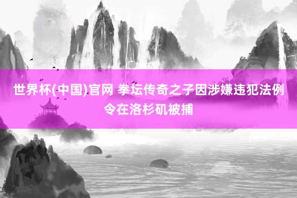 世界杯(中国)官网 拳坛传奇之子因涉嫌违犯法例令在洛杉矶被捕