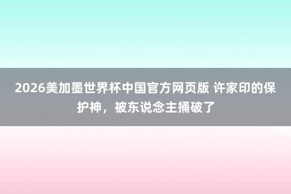 2026美加墨世界杯中国官方网页版 许家印的保护神，被东说念主捅破了