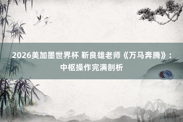 2026美加墨世界杯 靳良雄老师《万马奔腾》：中枢操作完满剖析