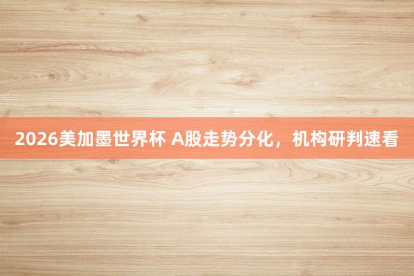 2026美加墨世界杯 A股走势分化，机构研判速看