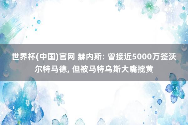 世界杯(中国)官网 赫内斯: 曾接近5000万签沃尔特马德， 但被马特乌斯大嘴搅黄