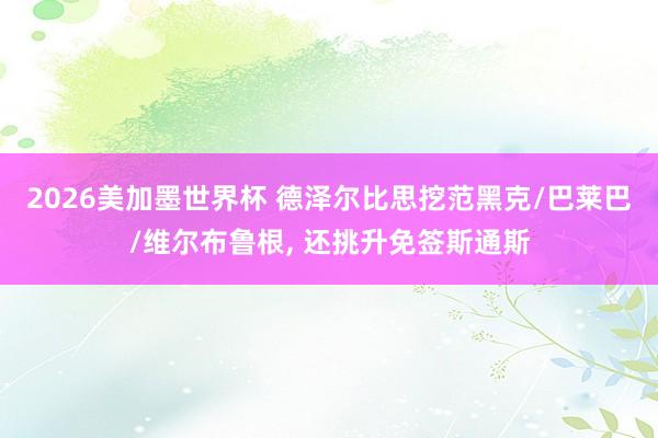 2026美加墨世界杯 德泽尔比思挖范黑克/巴莱巴/维尔布鲁根， 还挑升免签斯通斯