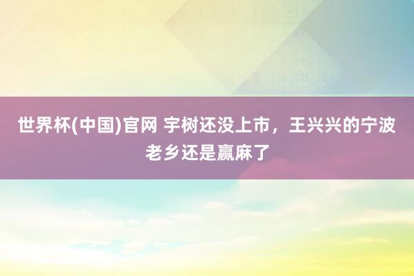 世界杯(中国)官网 宇树还没上市，王兴兴的宁波老乡还是赢麻了