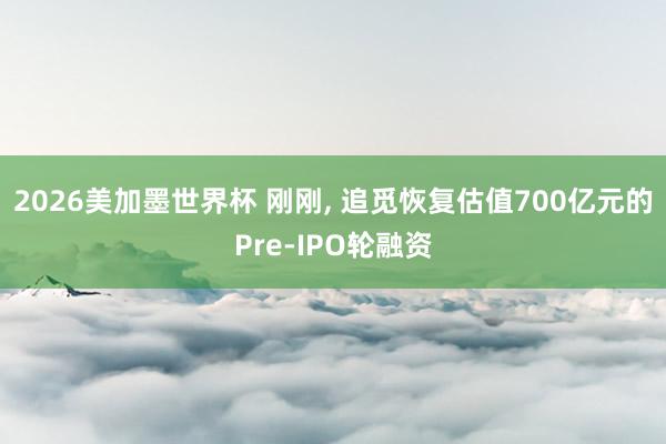 2026美加墨世界杯 刚刚， 追觅恢复估值700亿元的Pre-IPO轮融资