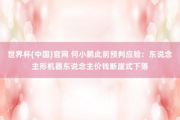 世界杯(中国)官网 何小鹏此前预判应验：东说念主形机器东说念主价钱断崖式下落