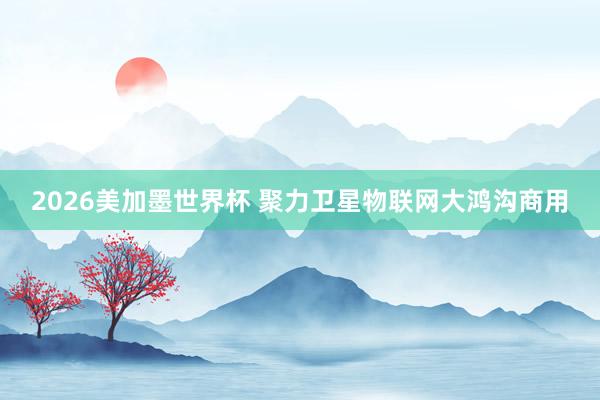 2026美加墨世界杯 聚力卫星物联网大鸿沟商用