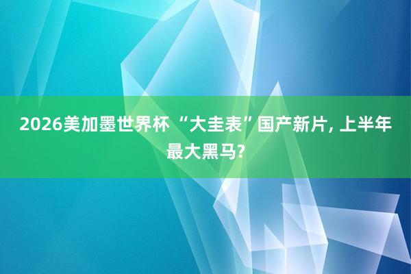 2026美加墨世界杯 “大圭表”国产新片， 上半年最大黑马?