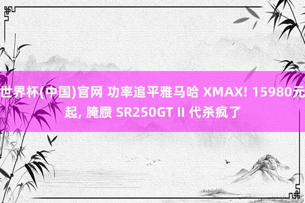 世界杯(中国)官网 功率追平雅马哈 XMAX! 15980元起， 腌臜 SR250GT II 代杀疯了