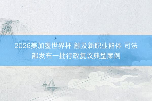 2026美加墨世界杯 触及新职业群体 司法部发布一批行政复议典型案例