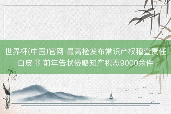 世界杯(中国)官网 最高检发布常识产权稽查责任白皮书 前年告状侵略知产积恶9000余件