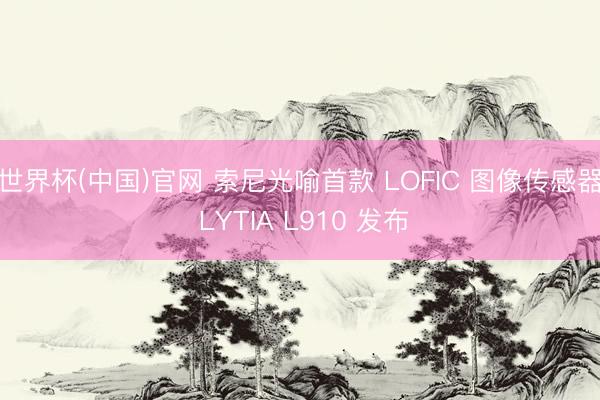 世界杯(中国)官网 索尼光喻首款 LOFIC 图像传感器 LYTIA L910 发布