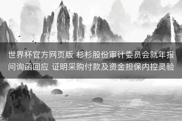 世界杯官方网页版 杉杉股份审计委员会就年报问询函回应 证明采购付款及资金担保内控灵验