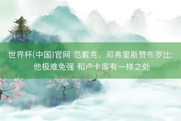 世界杯(中国)官网 范戴克、邓弗里斯赞布罗比: 他极难免强 和卢卡库有一样之处